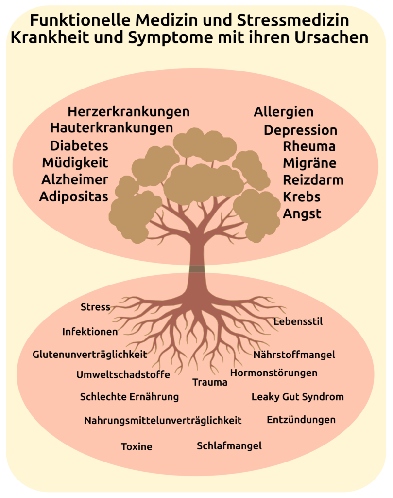 baum der funktionellen Medizin